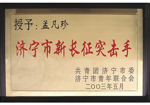 济宁市新长征突击手