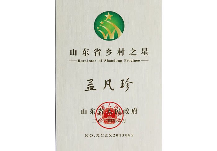 山东省乡村之星