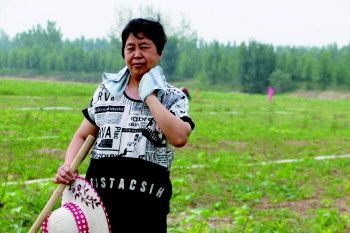 “十佳兵妈妈”王四姣的家国情怀